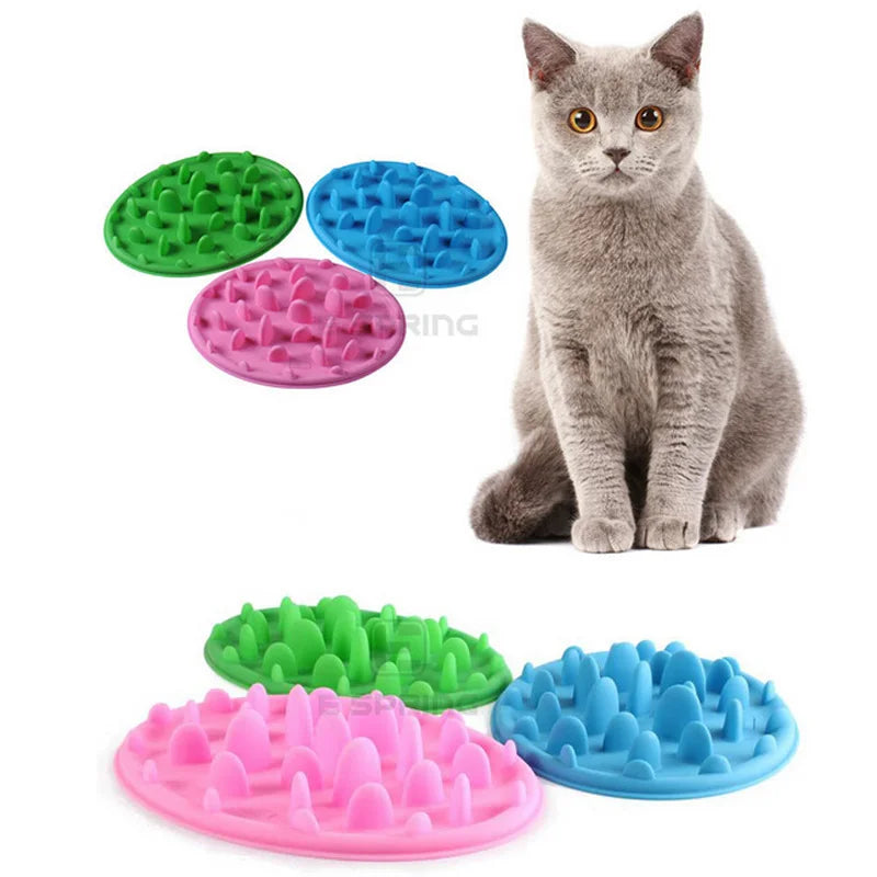 Pet Puppy Dog Cat Slow Feeder Anti Slip Choke NoGulp Bloat Water Bowl Feed Dish