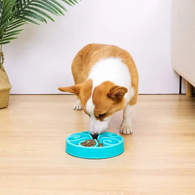 Pet Dog Slow Feeder Bowl Fun Non Slip Anti-Gulping Slower Food Feeding Dishes Eco Dog Bowl for Large Medium Small Dogs Puppy