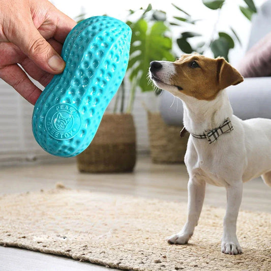 Pet Peanut Teeth Grinding Toy TPR Bite Resistant Toy Interactive Dog Toy Training Puzzle Dog Bite Stick Pet Supplies